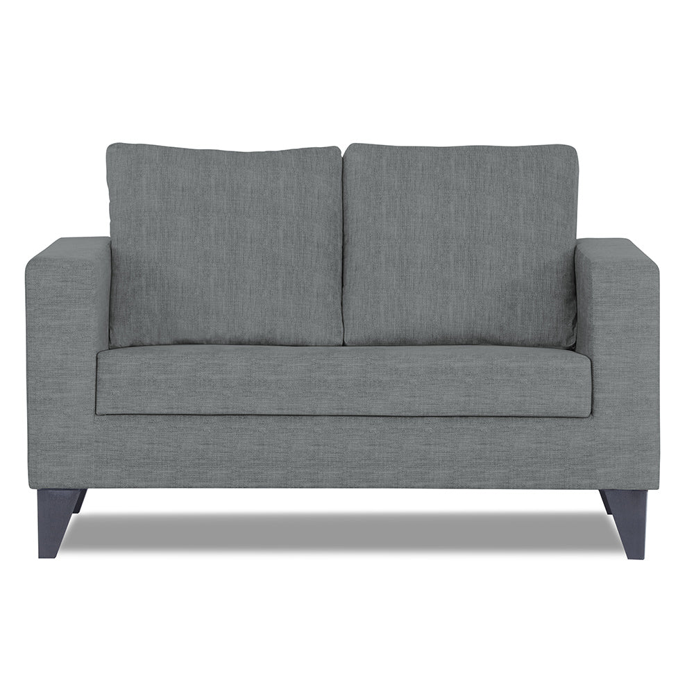 Adorn India Hallton Plain 2 Seater Sofa (Grey)