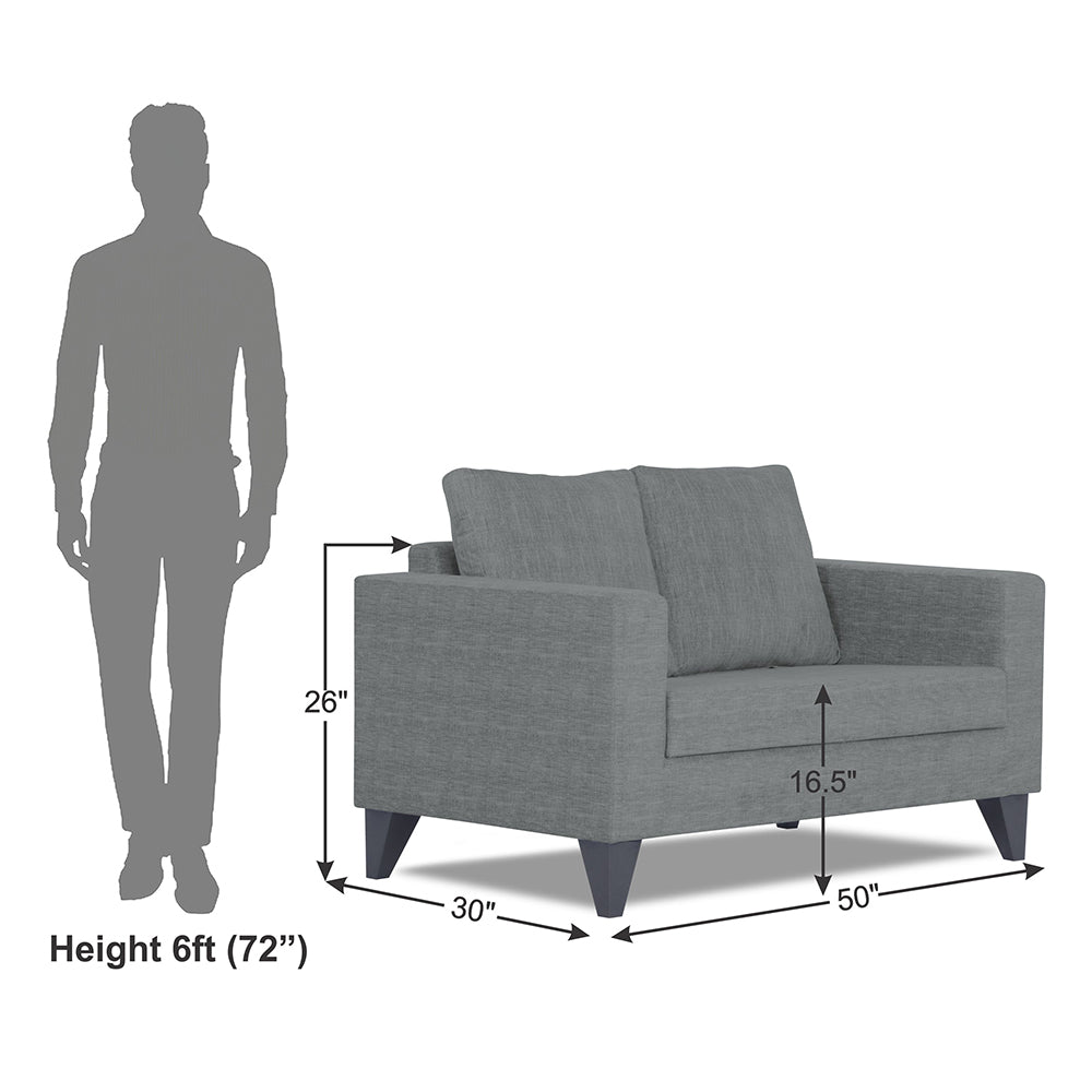 Adorn India Hallton Plain 2 Seater Sofa (Grey) (3 Year Warranty)