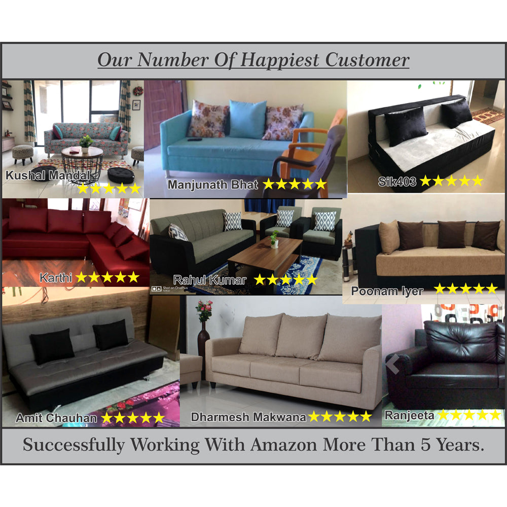 Adorn India Polar Black Metal Three Seater Sofa Cum Bed with Storage (6 x 5) (Brown)