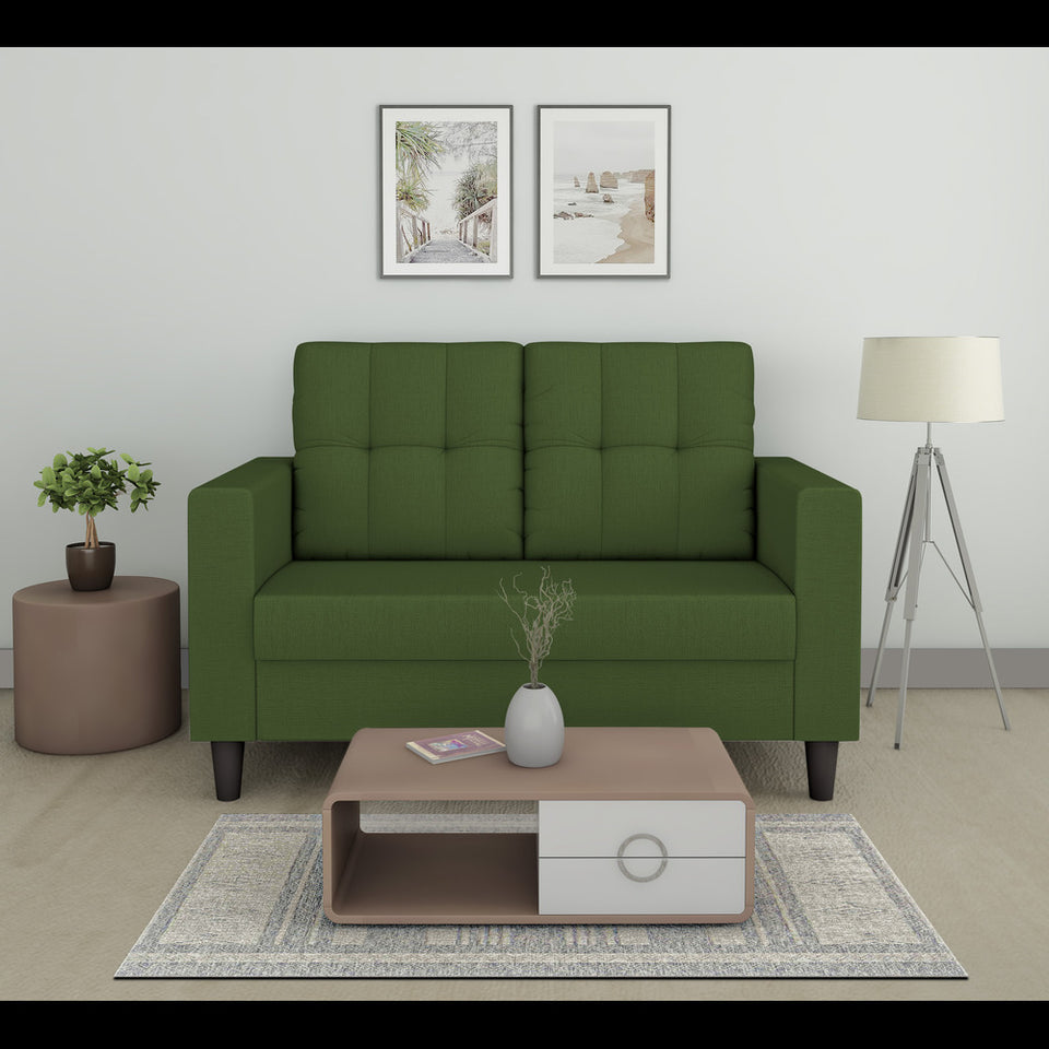 Darcy 2 Seater Sofa (Green)
