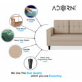 Adorn India Darcy 2 Seater Sofa (Beige) (3 Year Warranty)