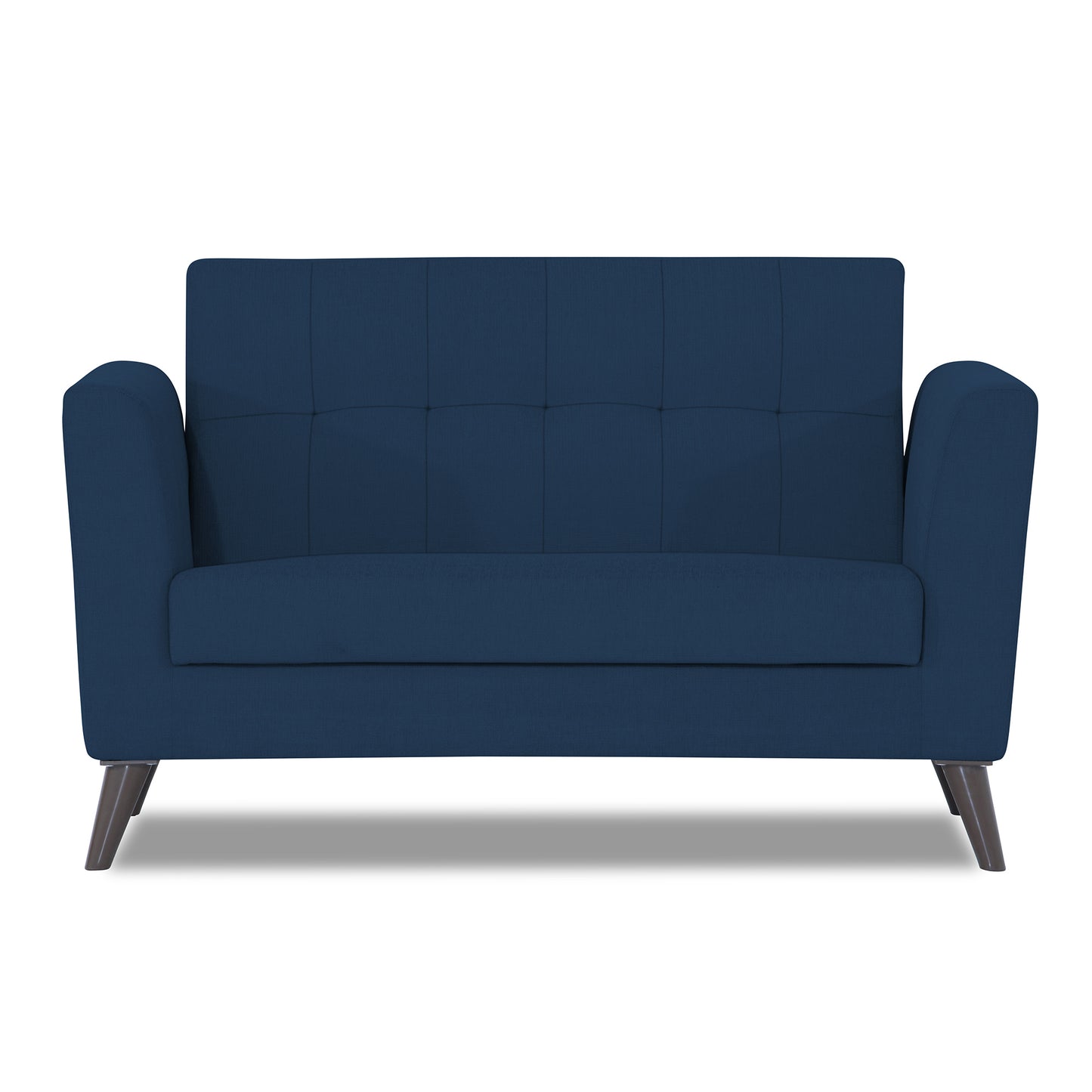 Adorn India Dannis 2 Seater Sofa (Blue)