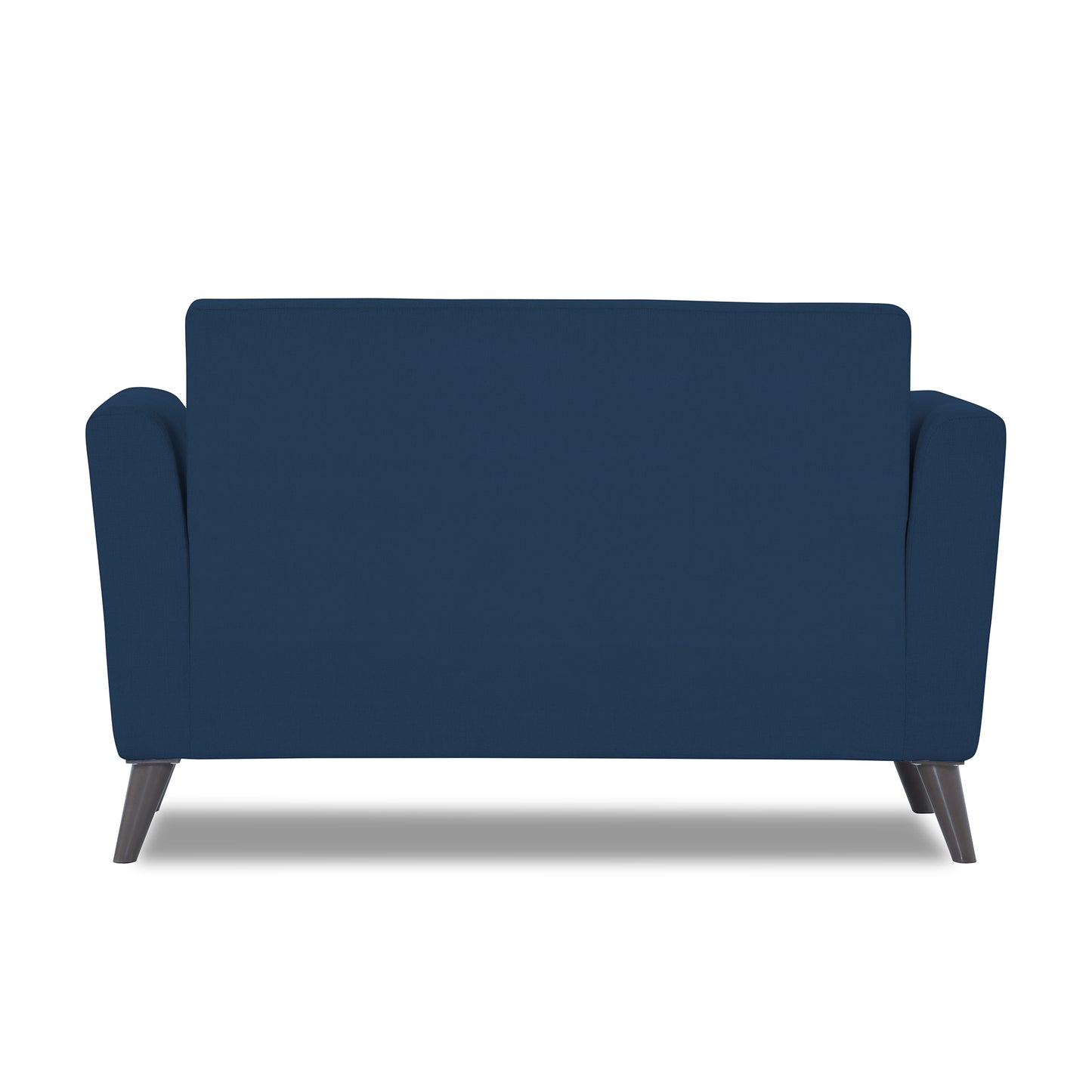 Adorn India Dannis 2 Seater Sofa (Blue)