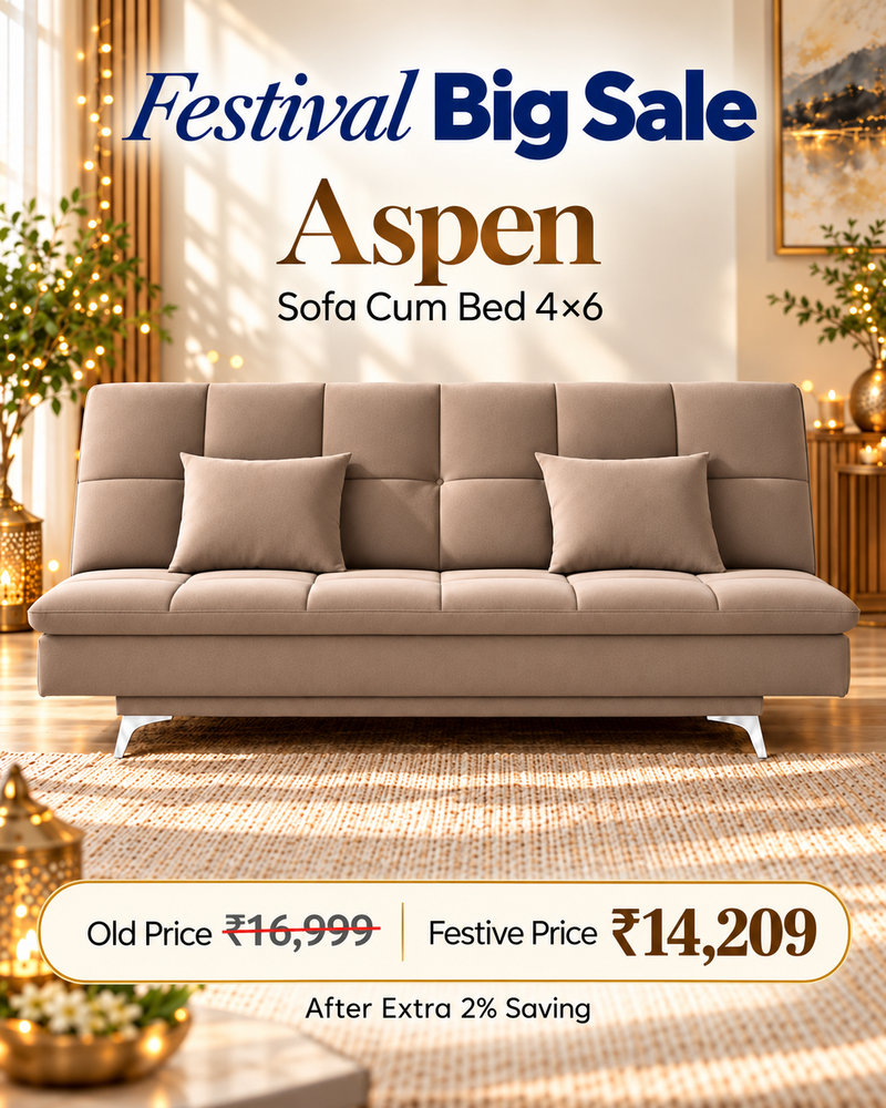 Aspen Sofa Cum Bed