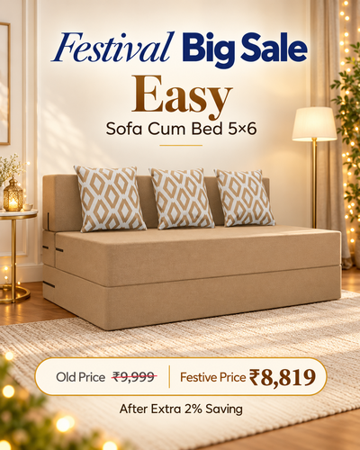 Easy Sofa Cum Bed