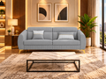 Premium Luster Plus 3 Seater Sofa | Velvet Suede Fabric | 3-Year Warranty | Color Grey with Golden Legs & Striped Pattern Cushion