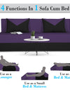 Adorn India Easy Desmond 3 Seater Sofa Cum Bed 6 x 6 (Purple & Black)
