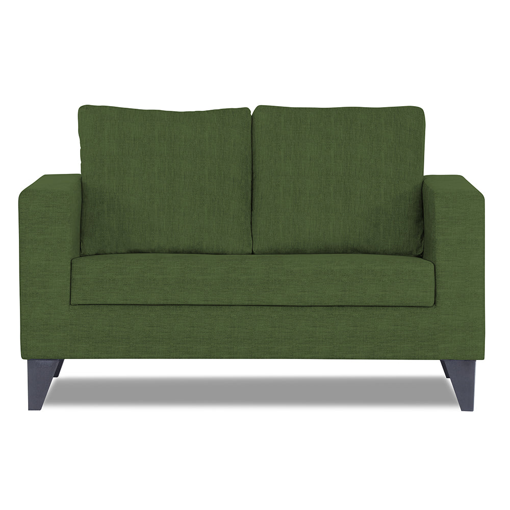 Adorn India Hallton Plain 2 Seater Sofa Set (Green)