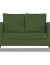 Adorn India Hallton Plain 2 Seater Sofa Set (Green)