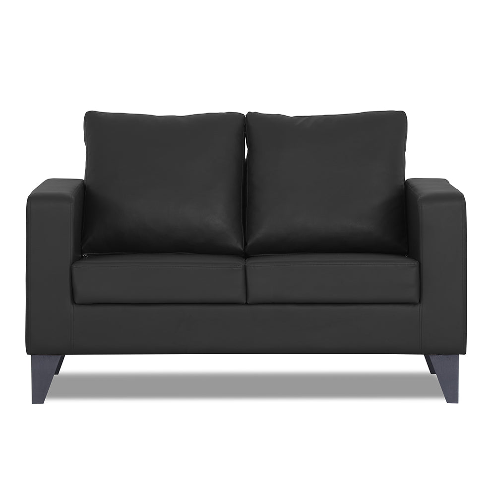 Adorn India Straight line Plus Leatherette 2 Seater Sofa (Black)