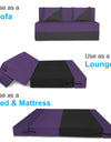 Adorn India Easy Desmond 2 Seater Sofa Cum Bed 4 x 6 (Purple & Black)