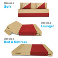 Adorn India Easy Desmond 3 Seater Sofa Cum Bed 5 x 6 (Red & Beige) (1 Year Warranty)