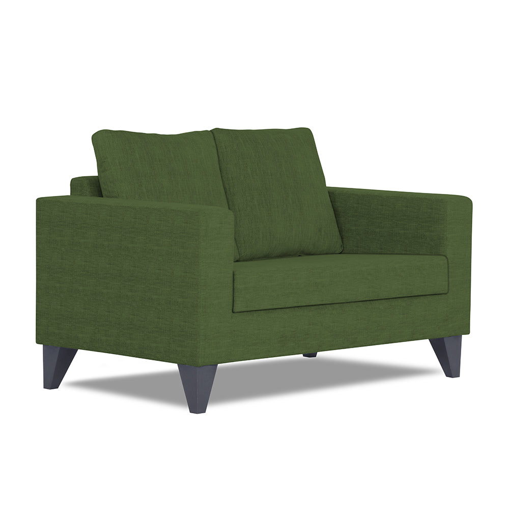 Adorn India Hallton Plain 2 Seater Sofa Set (Green)