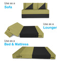 Adorn India Easy Desmond 2 Seater Sofa Cum Bed 4 x 6 (Green & Black) (1 Year Warranty)
