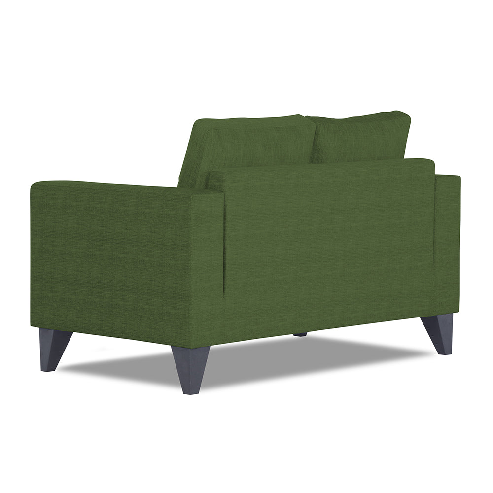 Adorn India Hallton Plain 2 Seater Sofa Set (Green)