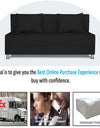 Adorn India Easy Alyn Plus Decent 3 Seater Sofa Cum Bed (5x6) (Black)