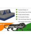 Adorn India Easy Desmond 2 Seater Sofa Cum Bed 4 x 6 (Blue & Grey)