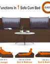 Adorn India Easy Three Seater Sofa Cum Bed Wave '6 x 6' (Brown)