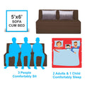Adorn India Easy Highback Three Seater Sofa Cum Bed Wave 5' x 6' (Brown) (1 Year Warranty)