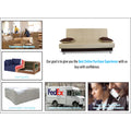 Adorn India Alyssum 3 Seater Sofa Cum Bed (Brown & Beige) Fabric