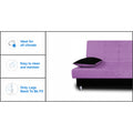 3 Seater Sofa Cum Bed Alyssum (Light Purple & Black)