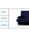 Adorn India Alyssum 3 Seater Sofa Cum bed (Navy Blue & Black)