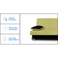 3 Seater Sofa Cum Bed Alyssum (Green & Black)