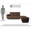Adorn India Flora Sofa Cum bed (Brown)