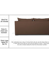 Adorn India Straight line 3 Seater Sofa Cum Bed (Brown)