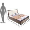 Adorn India Hypnos Engineered Box Spring Storage with Back Cushion Queen Size Bed (Matte Finish; Multi; Without Mattress)