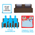 Adorn India Easy Three Seater Sofa Cum Bed Wave '5 x 6' (Brown)