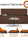 Adorn India Easy Treno 3 Seater Sofa Cum Bed Sit & Sleep Perfect for Guest, Colour Brown, 5'x6'