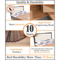 Adorn India Hypnos Engineered Box Spring Storage with Back Cushion Queen Size Bed (Matte Finish; Multi; Without Mattress)