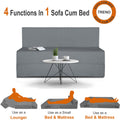 Adorn India Easy Treno 2 Seater Sofa Cum Bed Sit & Sleep Perfect for Guest, Colour Grey, 4'x6' (1 Year Warranty)