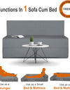 Adorn India Easy Treno 2 Seater Sofa Cum Bed Sit & Sleep Perfect for Guest, Colour Grey, 4'x6'