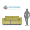 Adorn India Aleena 3 Seater Sofa(Green)