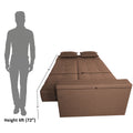 Flora Sofa Cum bed (Camel)