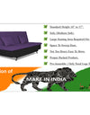 Adorn India Aspen Three Seater Sofa cum bed (Purple & Black)