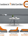 Adorn India Easy Treno 3 Seater Sofa Cum Bed Sit & Sleep Perfect for Guest, Colour Grey, 6'x6'